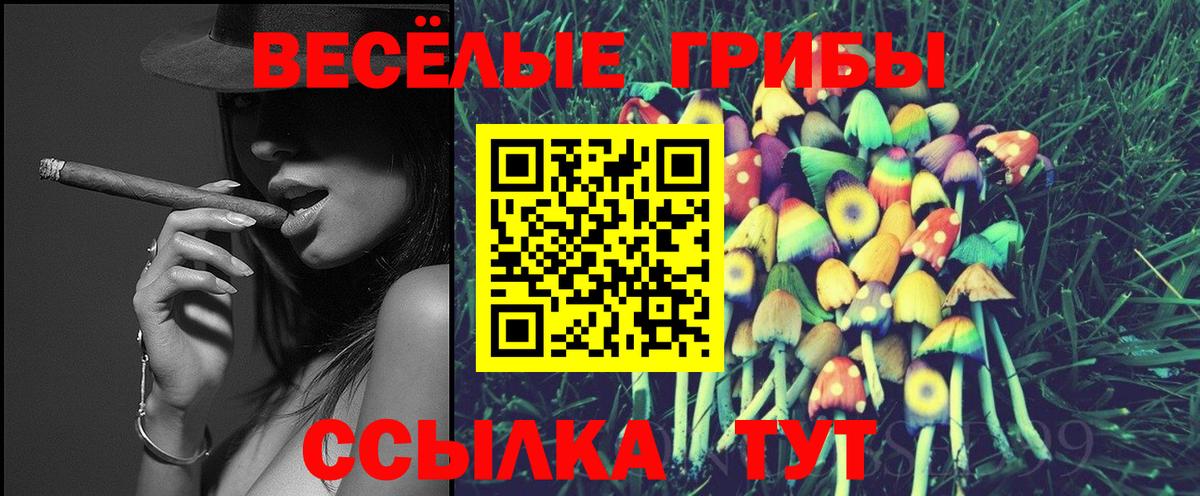 Галлюциногенные грибы прущие грибы  Вход с VPN  Ржев 